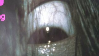 RING (1998) - VERY RARE Authentic UK Quad Film Poster (Hideo Nakata - J - Horror) 4