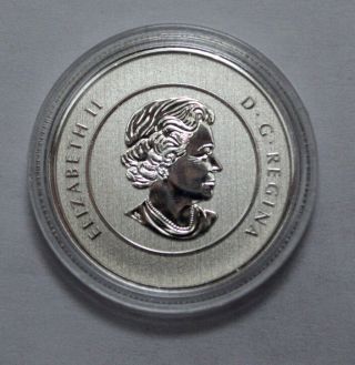 RARE 2013 Canada $20 Fine Silver Commemorative Coin,  - Iceberg & Whale 2