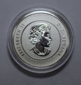 RARE 2013 Canada $20 Fine Silver Commemorative Coin,  - Iceberg & Whale 4