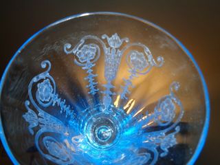 Rare FOSTORIA VERNON Etched BLUE WATER GLASS / FOOTED TUMBLER 1927 2
