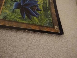 Oversized rare black Lotus promo card mtg magic: the gathering 6x9 4