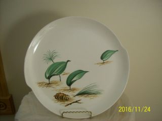 W.  S.  George Rare Vintage Forest Floor Pine Cone 10 " Dinner Plate