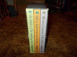 Ann Brashares Rare 3 Book Boxed Set Complete Sisterhood Of The Traveling Pants