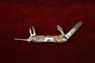 Rare Antique Camillus 4 Blade Pocket Knife W/exceptional Jigged Scales