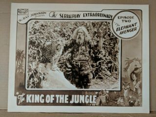 The King Of The Jungle 11x14 Lobby Card Rare