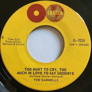 The Darnells - Too Hurt To Cry - Rare Canada R&b Soul Funk 45 Tamla - Mp3