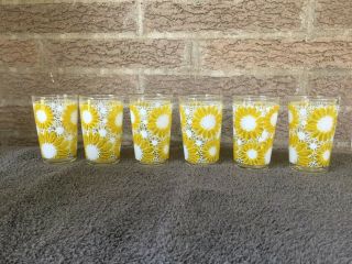 Vintage Clear Libbey Glass 6 Oz.  Sunflower Drinking Glasses Very Rare Pattern