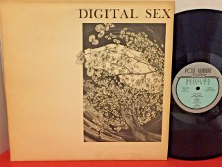 Rare Private Digital Sex Essence 1985 Post Ambient Motion Post Punk Wave Lp