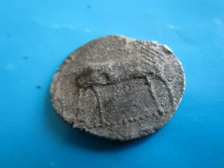 Deronnes.  Ancient Silver Coin.  Cow/helmet.  Rare