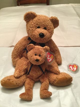 Ty Fuzz The Bear Beanie Baby (errors) And Beanie Buddy Set 1998,  Mwmt Rare