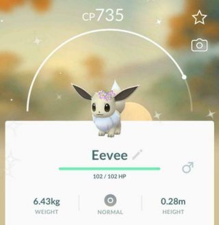 Shiny Flower Crown Eevee Pokemon Go Trade 20k Trade Mega Rare
