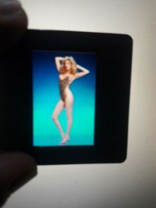 6 Morgan Fairchild Bikini Most Rare Promo Slide - Transparencies 35mm - Mn - Sh.
