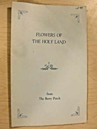 Rare,  Flowers Of The Holy Land,  Cross Stitch The Berry Patch,  Claire Bryant 1977