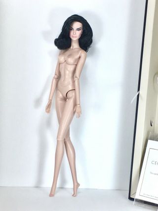 Fashion Royalty Nude Doll Only Dania Zarr Rare Appearance Integrity Toys