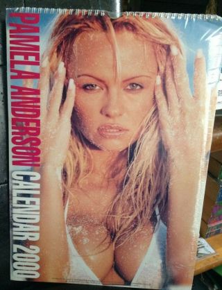 Pamela Anderson 2000 Calendar 12 By 18 Inches Rare