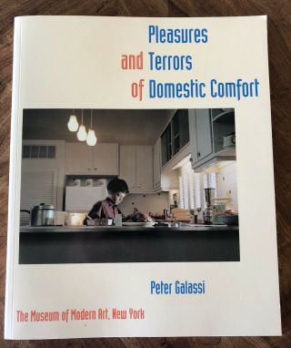 Rare Pleasures And Terrors Of Domestic Comfort Peter Galassi 1991 Moma Paperback