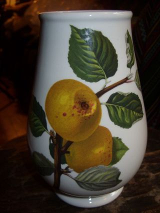 Portmeirion Pomona Ingestrie Pippin Golden Apple Rare Romantic Large Vase N.
