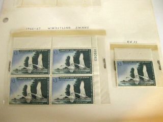 Rare 1966 - 67 Whistling Swans $3 Duck Stamp Set Of 5 Ultra Rare