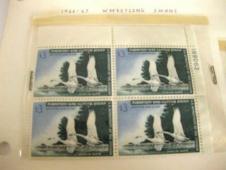 Rare 1966 - 67 Whistling Swans $3 Duck Stamp Set of 5 Ultra Rare 2