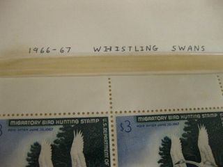 Rare 1966 - 67 Whistling Swans $3 Duck Stamp Set of 5 Ultra Rare 4