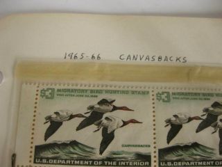 Rare 1965 - 66 Canvas Backs $3 Duck Stamp Set of 5 Ultra Rare 4