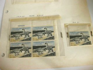 Rare 1964 - 65 Nene Goose $3 Duck Stamp Set Of 5 Ultra Rare