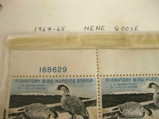 Rare 1964 - 65 Nene Goose $3 Duck Stamp Set of 5 Ultra Rare 4