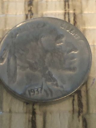 Rare 1937D Buffalo V Nickle Teo Errors Three Legs And D Almost Off Coin D 7