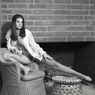 B2 Gloria Liska Nude 2 1/4 Negative Rare For 1968 Full Bush Busty Beauty By Enke