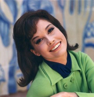 Mary Tyler Moore: 3 Rare Dvds: A Celebration (pbs),  Love Is All Around (cbs)