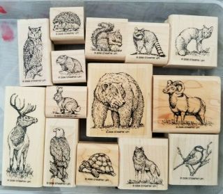 Stampin Up Wildlife Reserve Rare Nature Animal 14 Stamp Set Grizzly Bear Owl