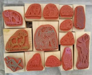 Stampin up WILDLIFE RESERVE rare NATURE animal 14 stamp set GRIZZLY bear owl 2