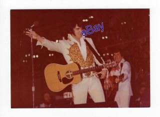 Elvis Presley Kodak Concert Photo - Cc Rider 1977 - Jim Curtin Rare