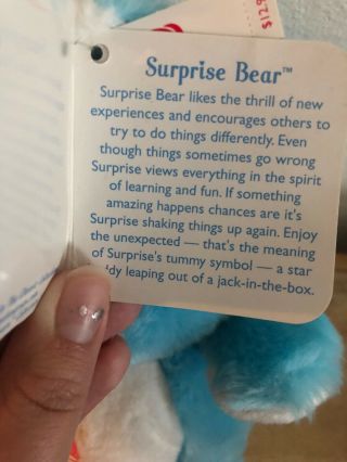 Care Bears Surprise Bear Carlton Cards 12 