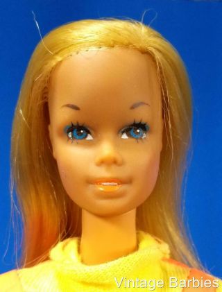 RARE Sports Set Sun Valley Barbie Doll 6530 Near Vintage 1970 ' s 2