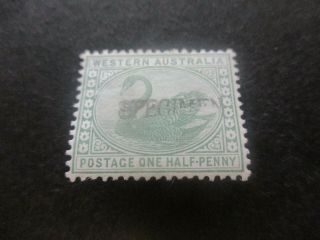 Western Australia Stamps: 1885 - 1906 Overprint Specimen - Rare (e204)