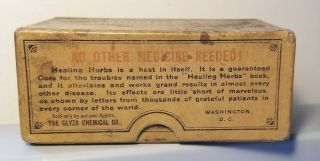 Rare Dr.  Delmar ' s Healing Herbs Quack Medicine Empty Box Washington,  DC c 1900 5