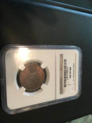 Canada Canadian Ngc 65 1905 Large Cent Rare