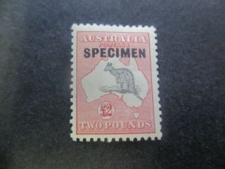 Kangaroo Stamps: £2 Smw Specimen - Rare (d18)