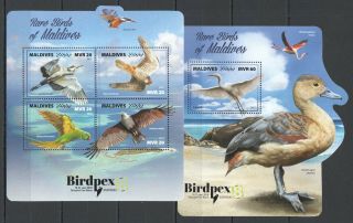 E87 2017 Maldives Fauna Rare Birds Birdpex 8 2018 Kb,  Bl Mnh