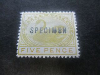 Western Australia Stamps: 1885 - 1906 Specimen - Rare (e209)