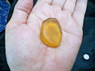 Delaware River Beach Sea Glass 1 1/2 " Amber Yellow Rare Find