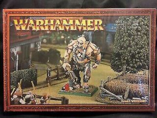 Rare Gw Warhammer Fantasy Giant Box