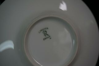 Ceralene Raynaud Limoges China Sheherazade Demitasse Cup and Saucer - Rare Find 8