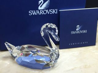 Swarovski 844168 Swan Brand Silver Crystal Bird Love Elegant Rare Fs