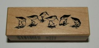Sandpipers Rubber Stamp Psx Beach Birds Wood Mounted Rare Design 2.  75 " Long