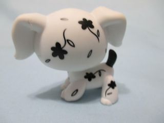 Littlest Pet Shop Dog Dalmatian Rare 469 And Accessory Authentic