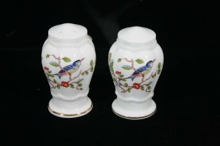 Rare Aynsley Fine China Pembroke Pattern Salt & Pepper Shaker Set