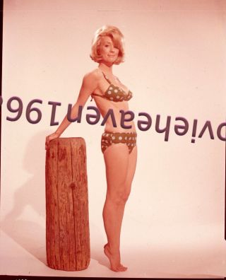 Inger Stevens Bikini 1960 