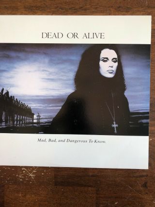 W133 Dead Or Alive Mad Bad And Dangerous To Know Rare Old Lp Epic Vinyl Record